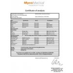 MycoMedica Hericium korálovec ježatý sušený 100 g – Zboží Dáma