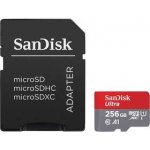 SanDisk microSDXC UHS-I U1 256 GB SDSQUAC-256G-GN6MA – Zbozi.Blesk.cz