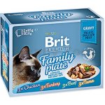 Brit cat Premium D Fillets jelly Family Plate 1 kg – Sleviste.cz