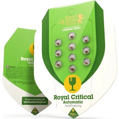 Royal Queen Seeds Royal Critical Automatic semena neobsahují THC 3 ks – Zboží Dáma