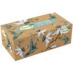 Tento Family papírové kapesníky box 2-vrstvé 200 ks – Zboží Dáma