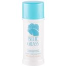 Elizabeth Arden Blue Grass Cream deostick Woman 40 ml