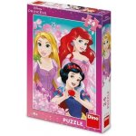 Dino Krásná princezna 24 dílků – Sleviste.cz