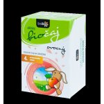 Babio ovocný Bio 20 x 1,5 g – Zboží Dáma