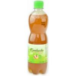 Stevikom bio Kombucha zázvorová s meduňkou 0,5 l – Hledejceny.cz
