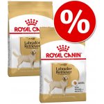Royal Canin Breed Labrador Retriever Adult 5+ 2 x 12 kg – Hledejceny.cz