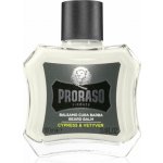 Proraso Cypress and Vetyver balzám na vousy 100 ml – Zboží Mobilmania