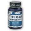 NutriStar TRIBULUS 100 tablet