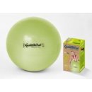 Ledragomma Gymnastik Ball BIOBased 65 cm