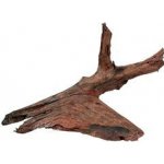 Zolux kořen Mangrove 25/40 cm – Zboží Dáma