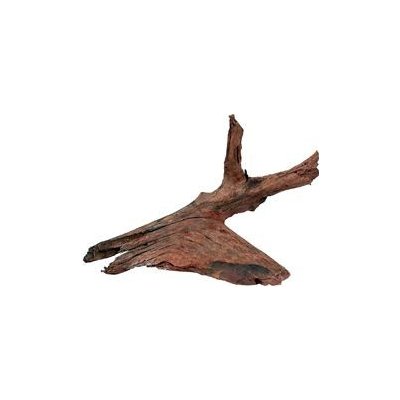 Zolux kořen Mangrove 25/40 cm – Zboží Dáma