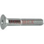 Šroub zápustný inbus DIN 7991 M5x10-8.8 pozink – Zbozi.Blesk.cz