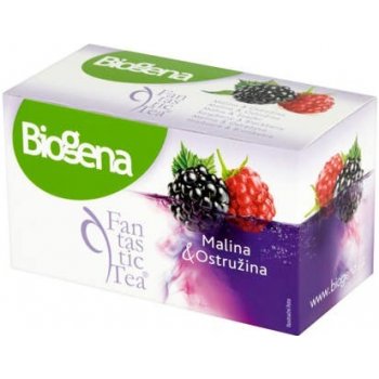 Biogena Fantastic Tea malina & ostružina 20 x 2,5 g