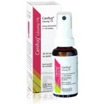 CANIFUG LÖSUNG DRM 10MG/ML DRM SPR SOL 1X30ML – Sleviste.cz