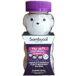 Sambucol Pro Děti + vitamin C medvídci 60 ks – Hledejceny.cz