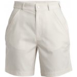 Icebreaker Wmns Hike Shorts Chalk – Hledejceny.cz