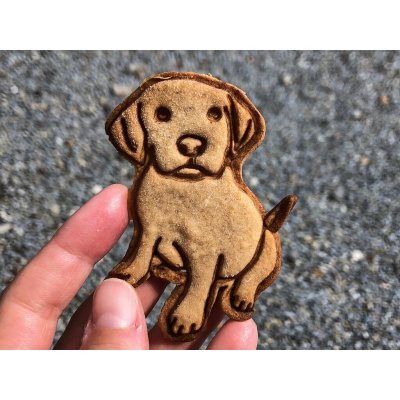 TVOŘÍTKO Labrador III- vykrajovátko – Hledejceny.cz