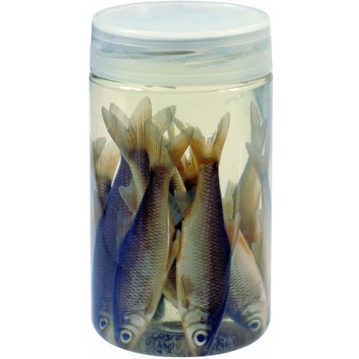 Albatros Rybičky V Nálevu Aasvisjes Roach Plotice 8 / 10 cm 10 ks – Hledejceny.cz