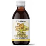 EkoMedica Zázvor s citronem 250 ml – Hledejceny.cz