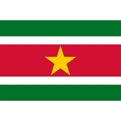 Státní vlajka Surinam tištěná venkovní Alerion – Hledejceny.cz