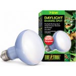 Hagen Exo Terra Daylight Basking Spot 75 W – Hledejceny.cz