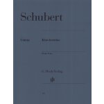 Franz Schubert Piano Trios noty na housle, violoncello, klavír – Hledejceny.cz