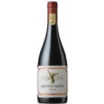 Montes Alpha Syrah Colchaqua Valley 14,5 % 0,75 l (holá láhev) – Hledejceny.cz