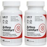 LAB-V Arthro Comfort Komplexní podpora zdraví kloubů a pohybového aparátu pro psy a kočky 2 x 45 kapslí – Hledejceny.cz