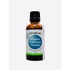 Doplněk stravy Viridian Echinacea Tincture 50 ml