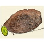 Kokosová slupka ROBIMAUS – Zboží Dáma