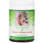 TCM Herbs Utišení větrné bouře 100 tablet – Hledejceny.cz