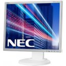 NEC EA193M