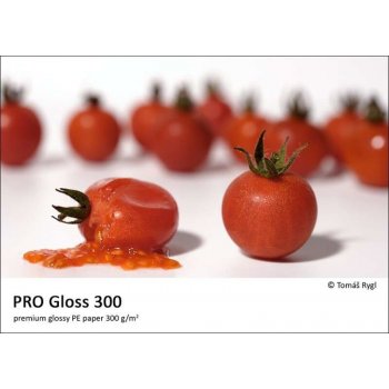 FOMEI FomeiJet PRO Gloss, 10x15, 50 listů, 300 g/m2