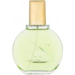 Gloria Vanderbilt Jardin a New York parfémovaná voda dámská 100 ml – Hledejceny.cz