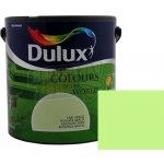 Dulux COW poupata akácií 2,5 L – Hledejceny.cz