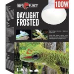 Repti Planet Daylight Frosted 100 W 007-41024 – Zboží Mobilmania