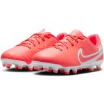 Nike JR Legend 10 Academy FG/MG dv4348-800 – Zboží Dáma