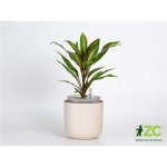 Plastia Samozavlažovací květináč Tolita béžová pr. 19 cm – Zboží Dáma
