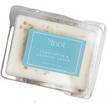 Knot Soy candle Sójový vosk Eukalyptus & Cedrové dřevo 80 g – Hledejceny.cz