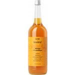 Sirupárna Domácí Mango & Marakuja Sirup 1 l – Zboží Dáma