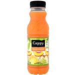 Cappy Multivitamin 330 ml – Zboží Dáma