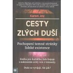 Cesty zlých duší - Karen Joy – Hledejceny.cz