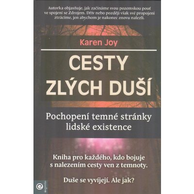 Cesty zlých duší - Karen Joy – Hledejceny.cz