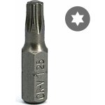 SVXtools Bit TX25 25mm C25T25CRV – Sleviste.cz