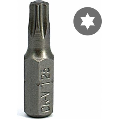 SVXtools Bit TX25 25mm C25T25CRV – Sleviste.cz