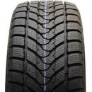 Delinte WD1 225/45 R17 94V