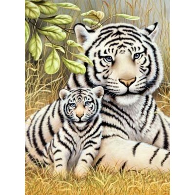 Royal Langnickel Malování podle čísel Tygr s mládětem 22 x 30 cm