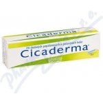 CICADERMA DRM UNG 30G – Hledejceny.cz