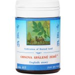 TCM Herbs Obnova spálené země 100 tablet – Hledejceny.cz