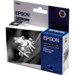 Epson C13T0541 - originální – Hledejceny.cz